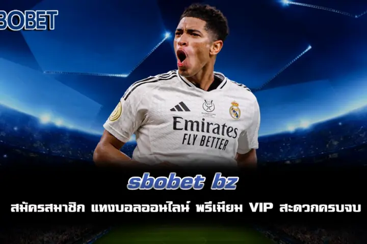 sbobet bz แทงบอล
