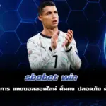 sbobet win แทงบอล